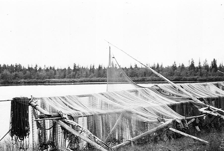 Lainio 08 B.jpg - Axel Uusitalos (Nygård) not vid Rievanen, Vaikkojärvi.